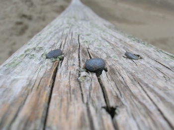 Popham Stairs