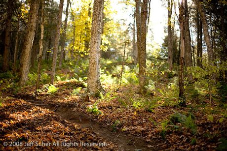 Northeast Kingdom photo by Jeff Scher Photography